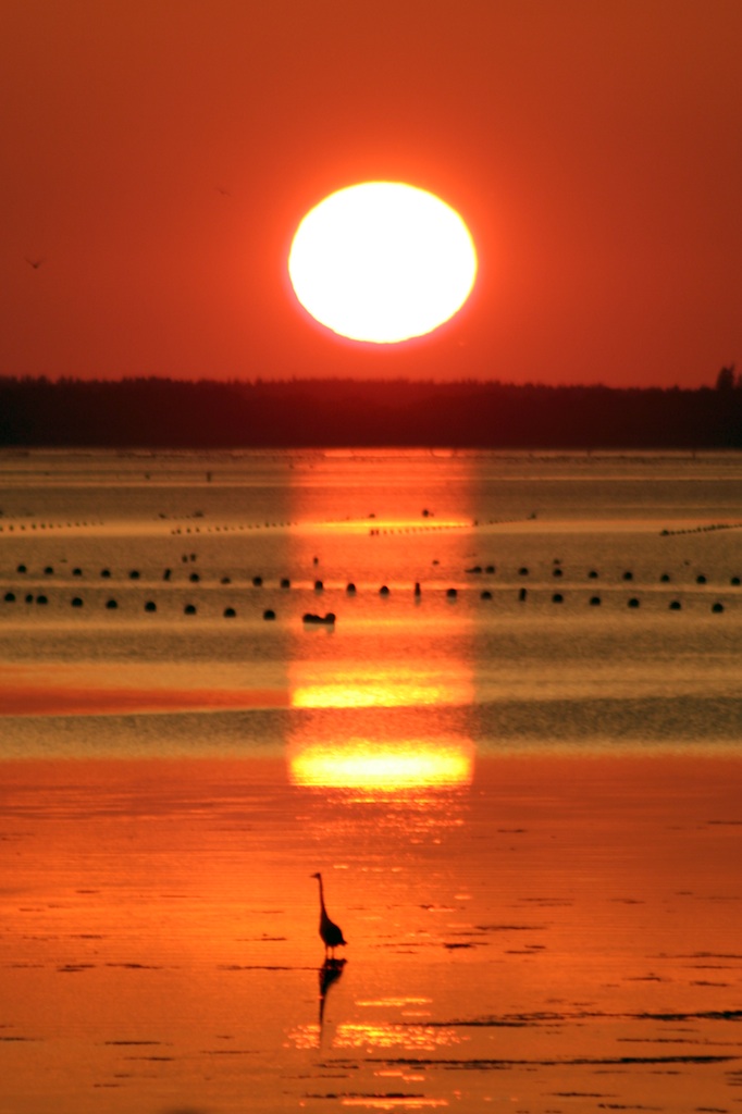 Prince Edward Island sunset photograph